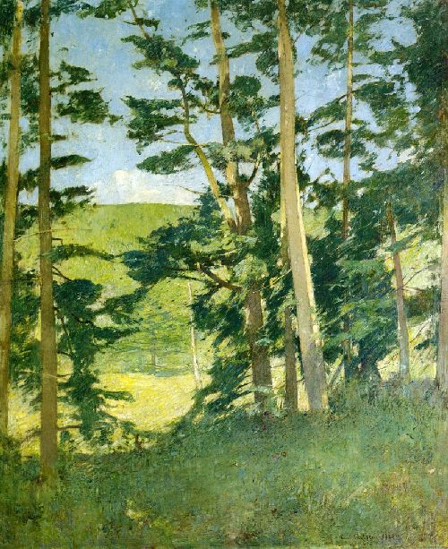 A Cleaaring beyond the Trees