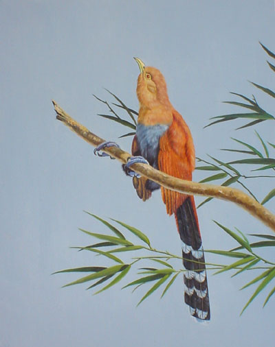 Birds Paintings N010