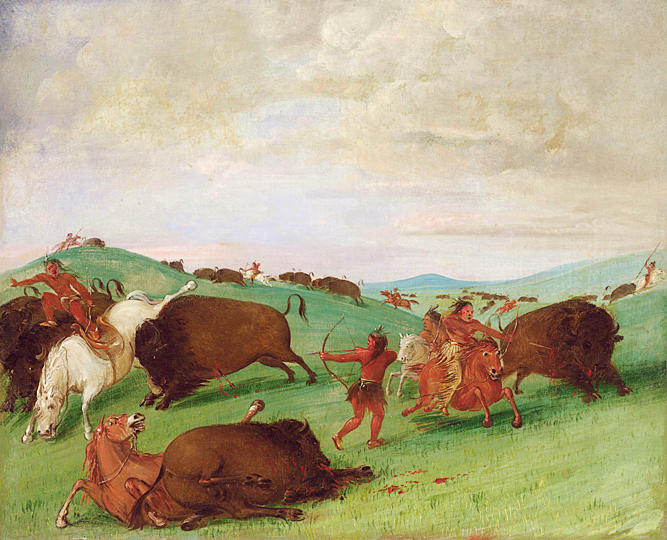 Buffalo Chase, Bulls Making Battle with Men and Horses