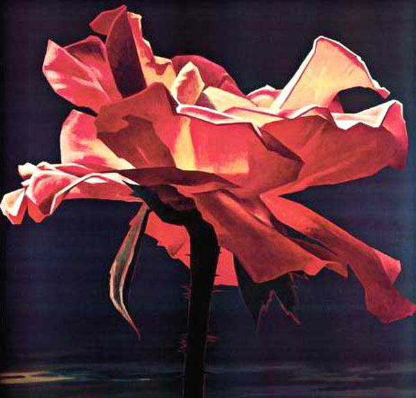Classical Flower Paintings N315