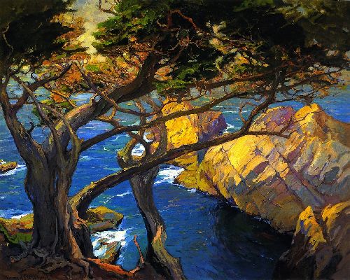 Cleft Born Trees Monterey