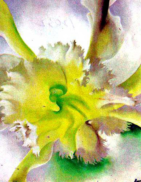 Colorful Flower Paintings N055