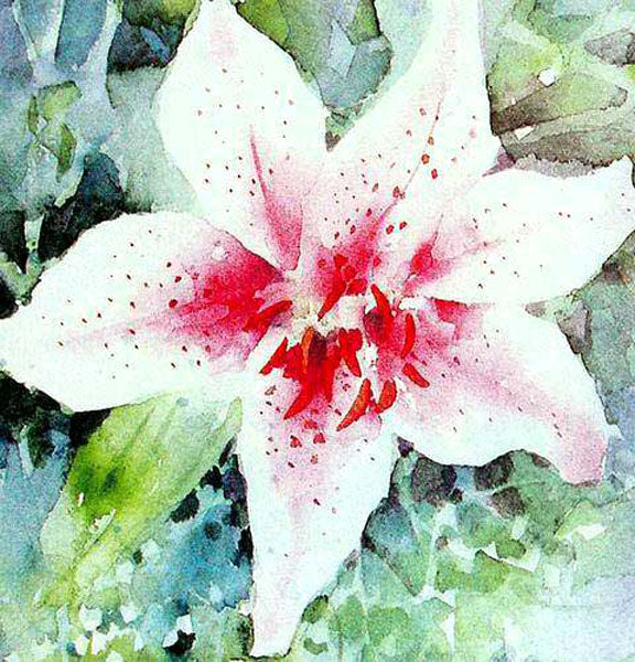 Colorful Flower Paintings N078