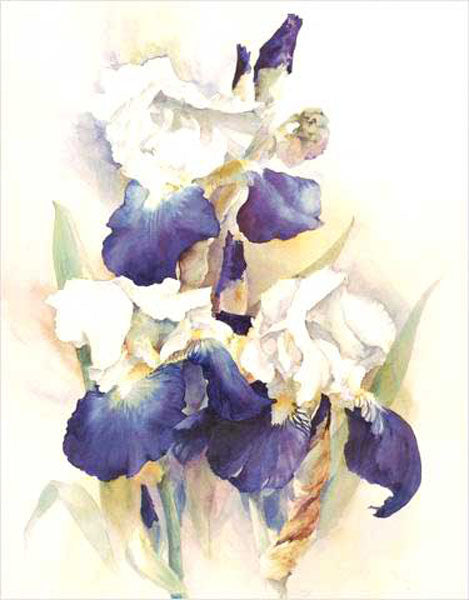 Colorful Flower Paintings N197