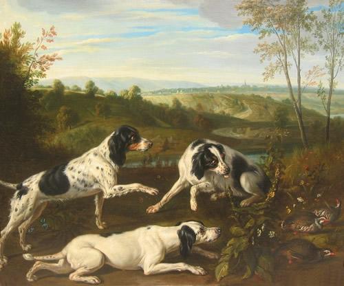 Dogs Sporting