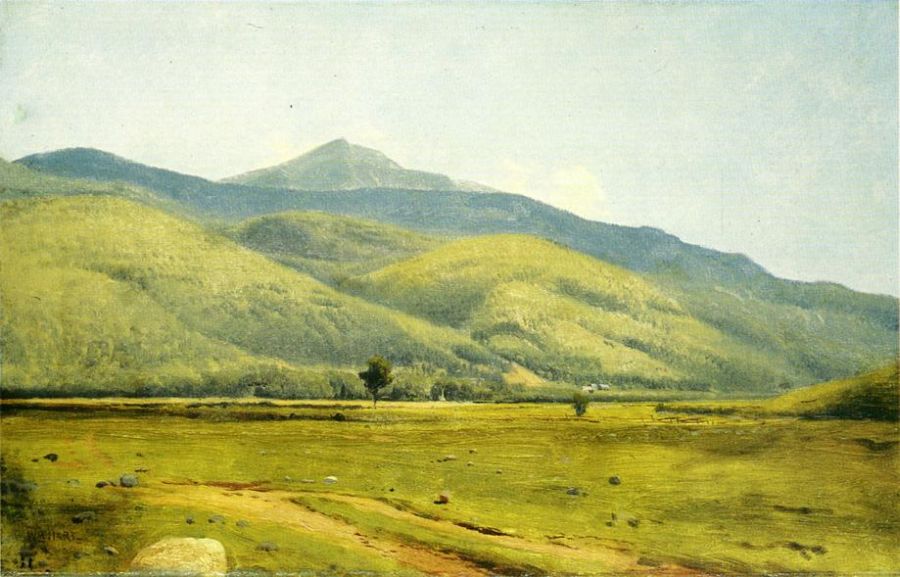 Fields in Summer