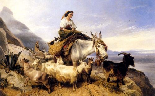 Goat Herds Gibraltar Looking Across The Strait Into Africa