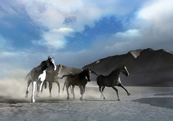 Horse Paintings N061