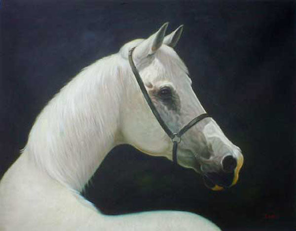 Horse Paintings N072