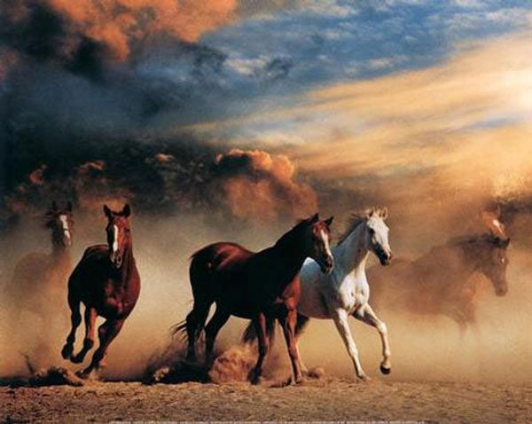 Horse Paintings N125