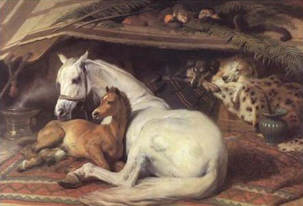 Horse Paintings N134