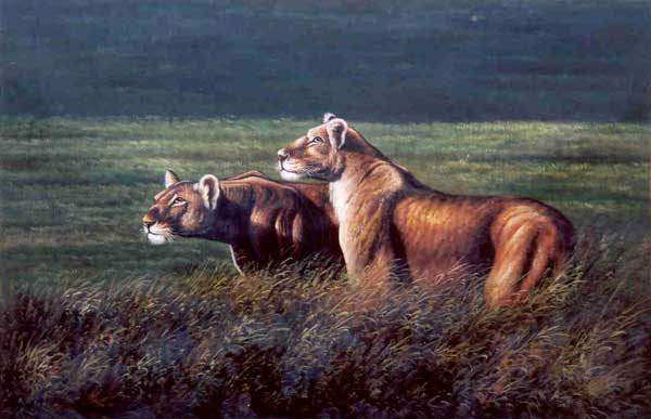 Horse Paintings N151