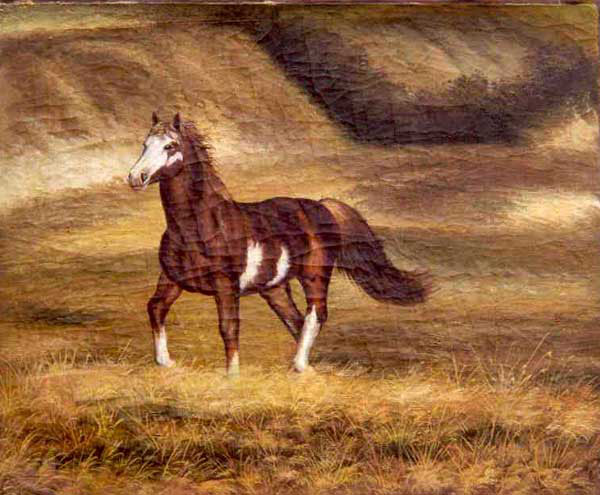 Horse Paintings N159