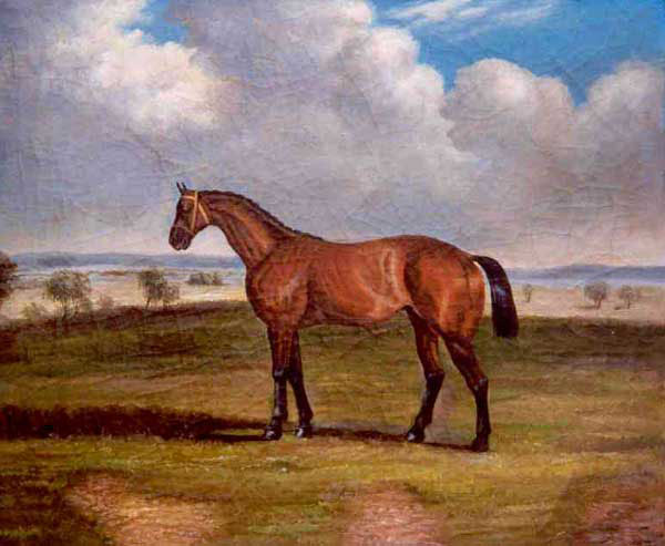 Horse Paintings N163