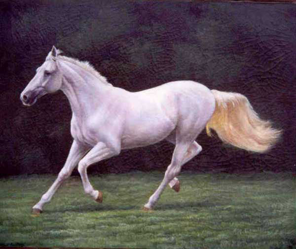 Horse Paintings N165