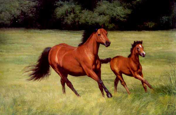Horse Paintings N169