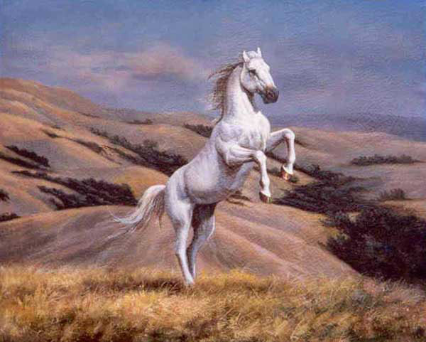 Horse Paintings N182