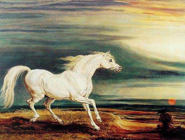 Horse Paintings N198