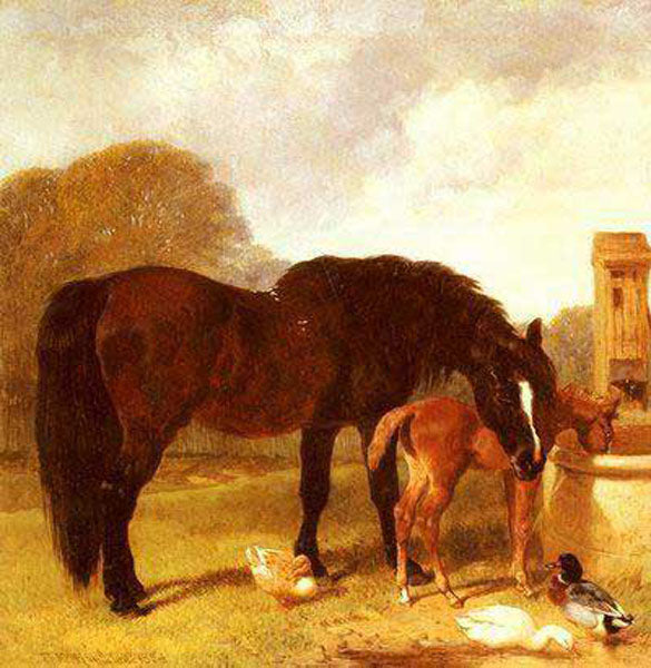 Horse Paintings N204