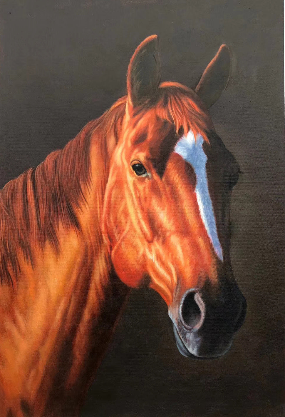 Horse Paintings N13