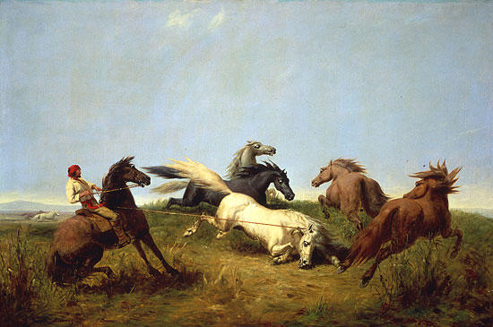 Hunting Wild Horses