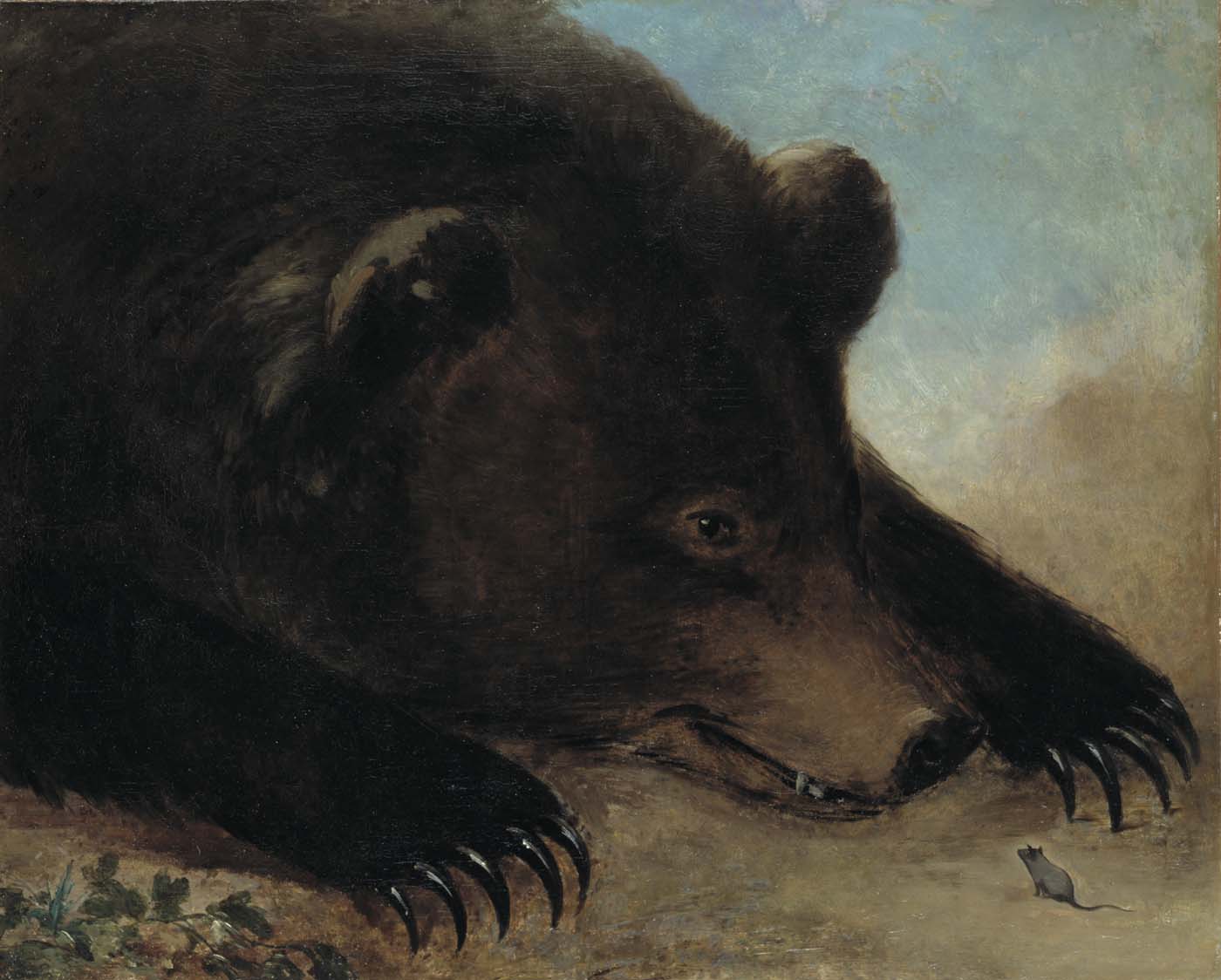 Portraits of a Grizzly Bear and Mouse