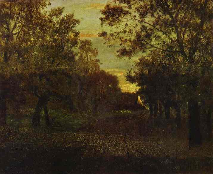 Road In A Wood