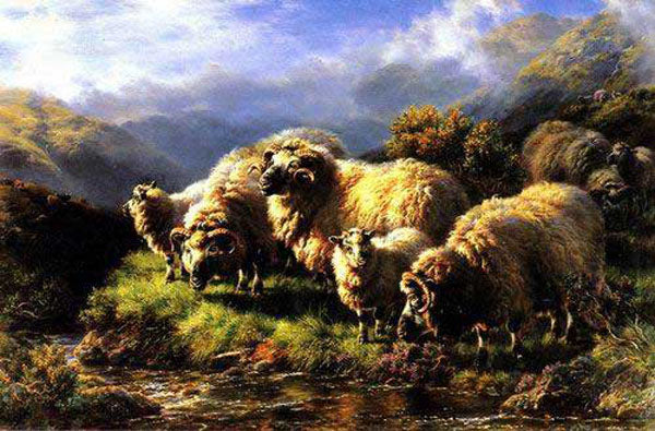Sheep Paintings N023