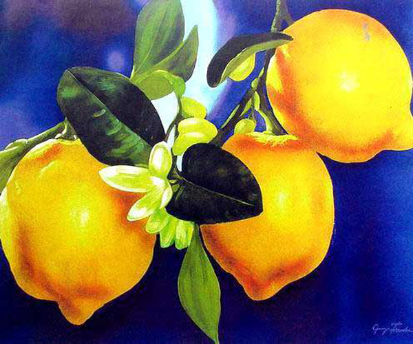 Still Life Paintings N323