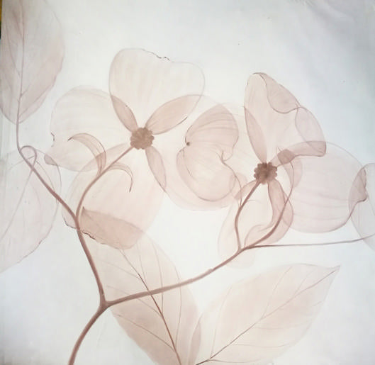 Stock Paintings N236