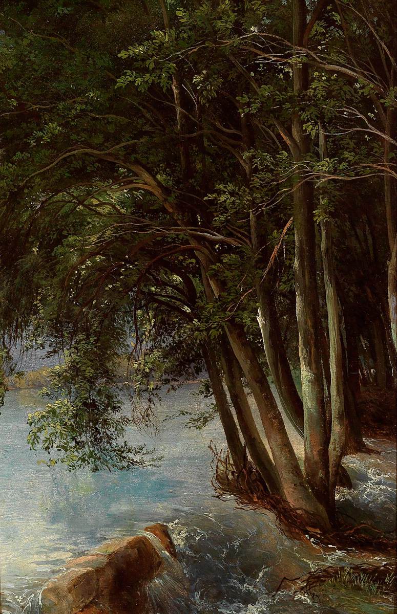 Trees at the Bank