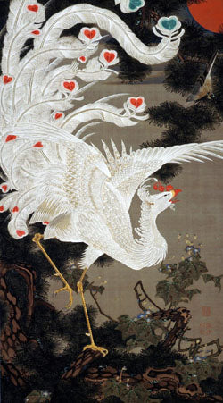 White Phoenix on Old Pine