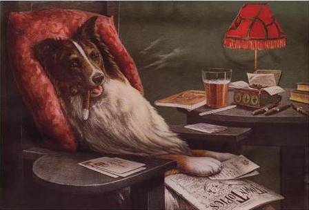 A Bachelor's Dog