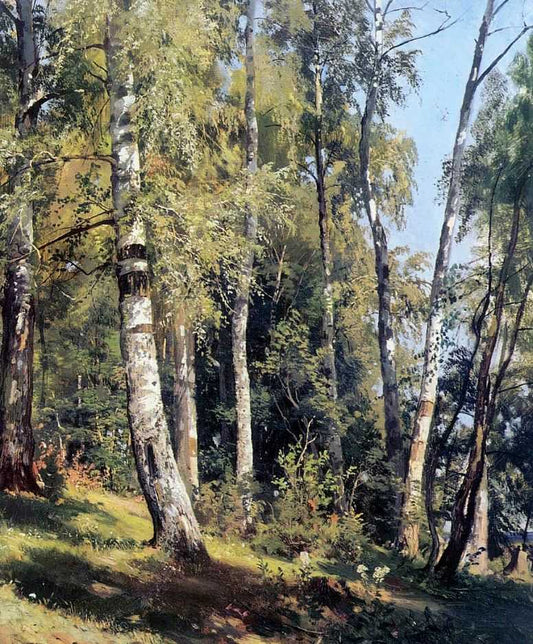Birch Grove