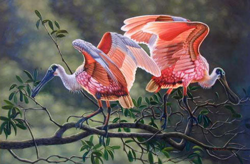 Birds Paintings N011