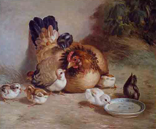 Birds Paintings N014