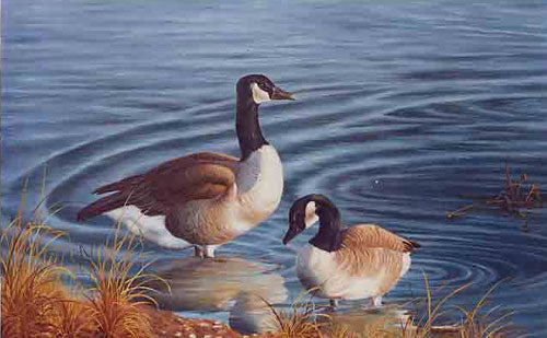 Birds Paintings N015
