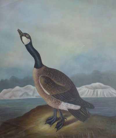 Birds Paintings N017