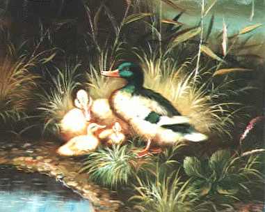 Birds Paintings N022