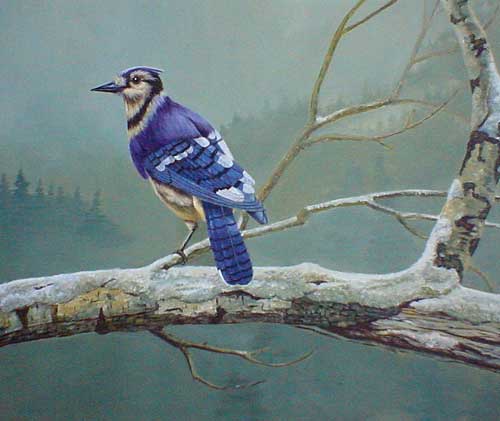 Birds Paintings N023