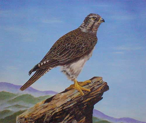 Birds Paintings N024