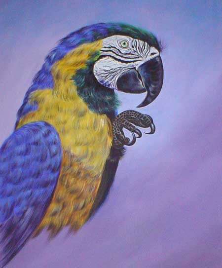 Birds Paintings N032
