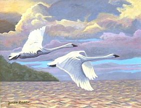 Birds Paintings N036