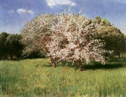 Blooming Apple Trees