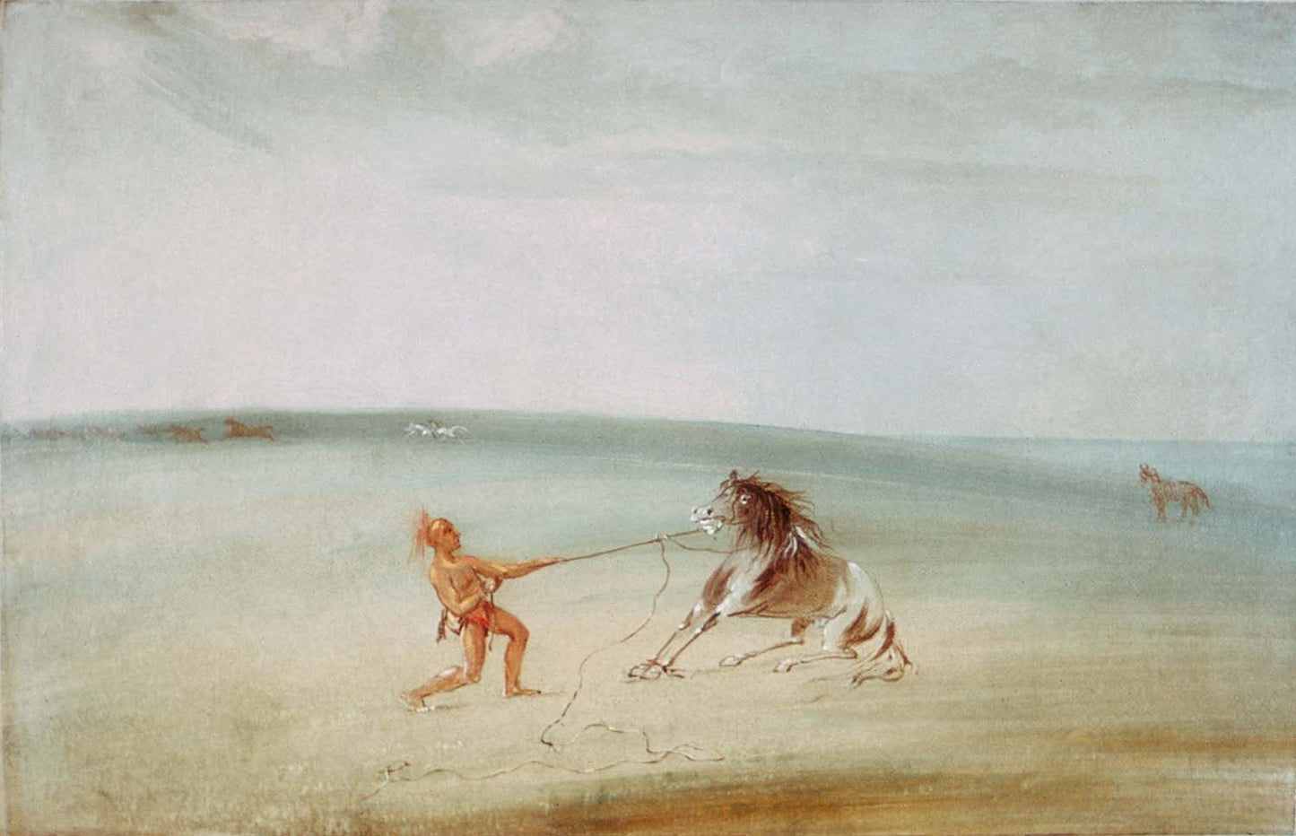 Breaking Down the Wild Horse
