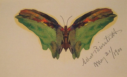 Butterfly v