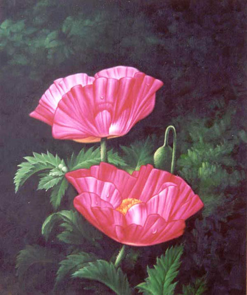 Classical Flower Paintings N004