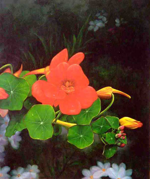 Classical Flower Paintings N278