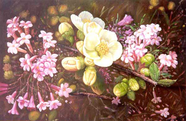 Classical Flower Paintings N282