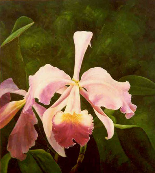 Classical Flower Paintings N290